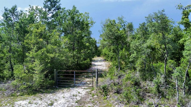 0 E Royal Oak Dr, Perry, FL 32348
