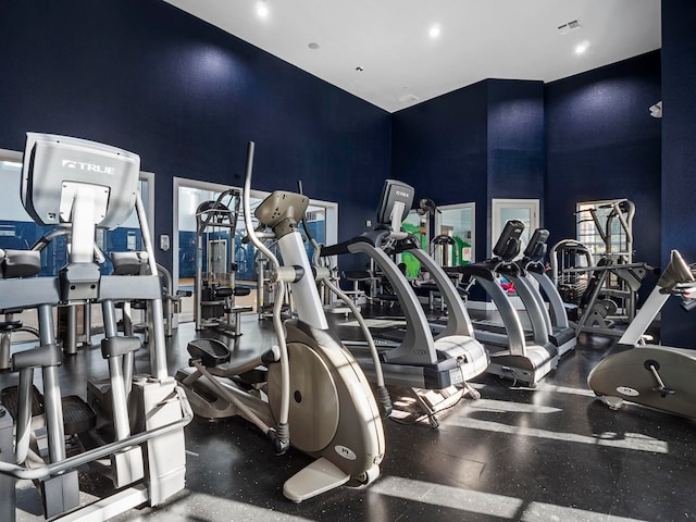 exercise room featuring a high ceiling