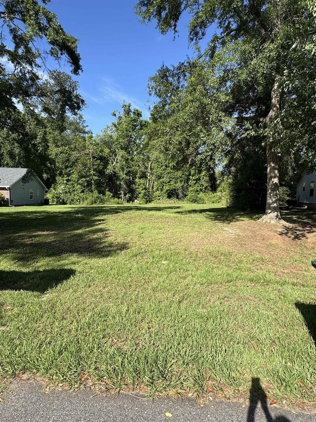 0 Chateau Ln Unit 2, Tallahassee, FL 32311 - photo 3