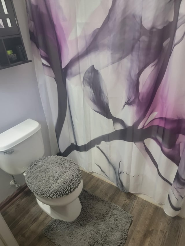 bathroom featuring wood-type flooring