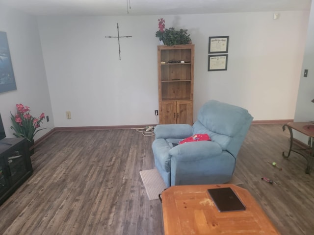 sitting room with dark wood-type flooring