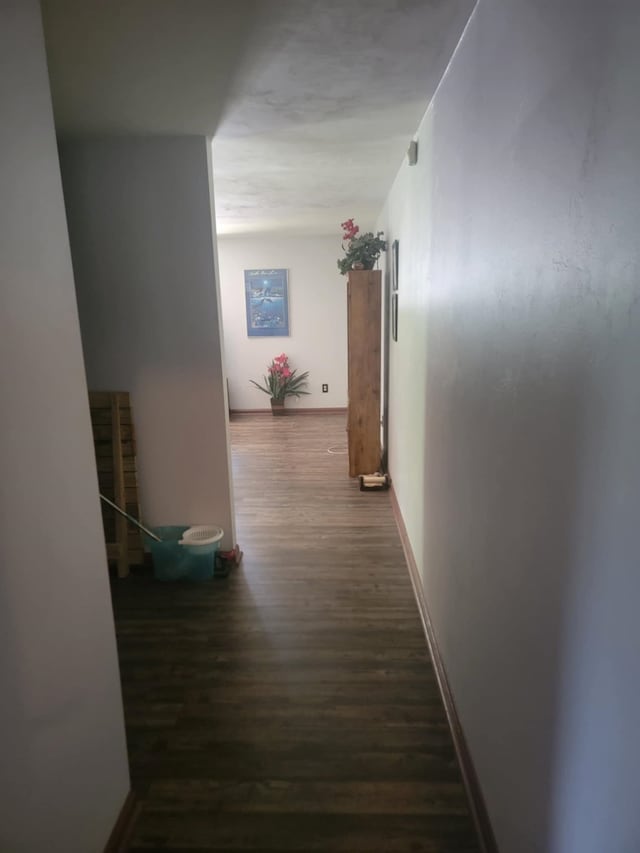 hallway featuring dark wood-type flooring