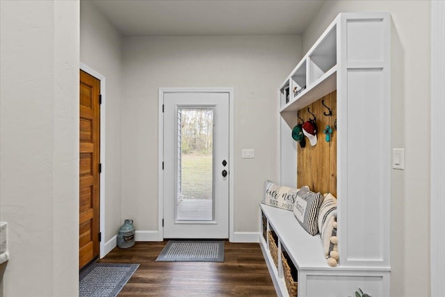 mudroom with dark hardwood / wood-style flooring