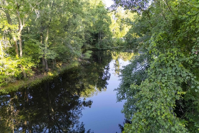 6611 Crooked Creek Rd, Tallahassee, FL 32311 - water view featuring a forest