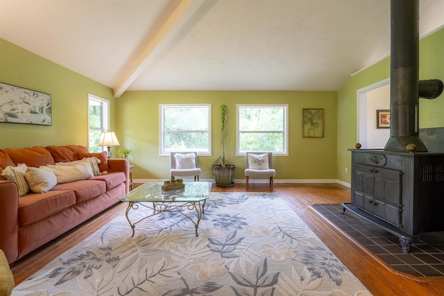 6611 Crooked Creek Rd, Tallahassee, FL 32311 - living room with a wood stove, wood finished floors, and plenty of natural light