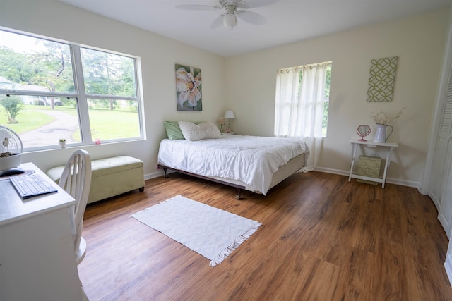 6611 Crooked Creek Rd, Tallahassee, FL 32311 - bedroom with multiple windows, wood finished floors, and ceiling fan
