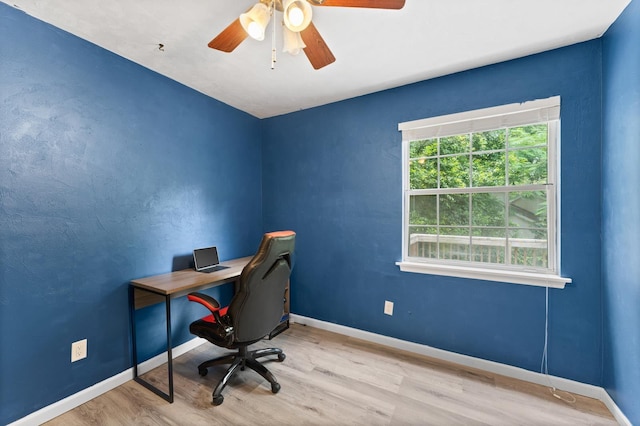 office featuring ceiling fan and light wood-type flooring