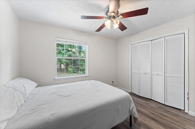 bedroom featuring ceiling fan, dark hardwood / wood-style flooring, and a closet