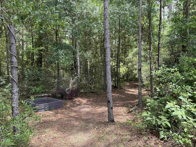 106 Parkside Cir, Crawfordville, FL 32327 - photo 36