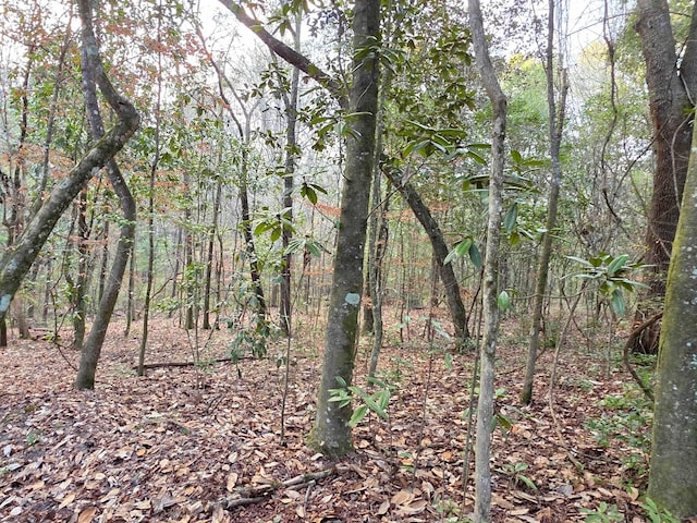 0 Williams Landing Rd Unit 25, Tallahassee, FL 32310