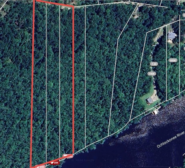 XXX Pamela Place, Sopchoppy FL, 32358 land for sale