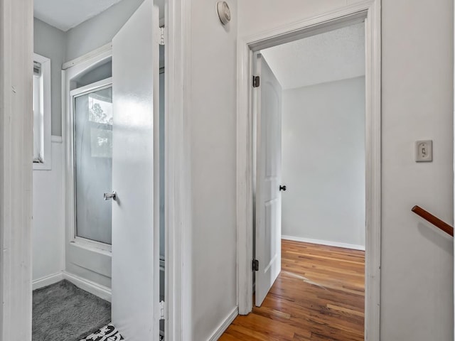 bathroom featuring hardwood / wood-style floors