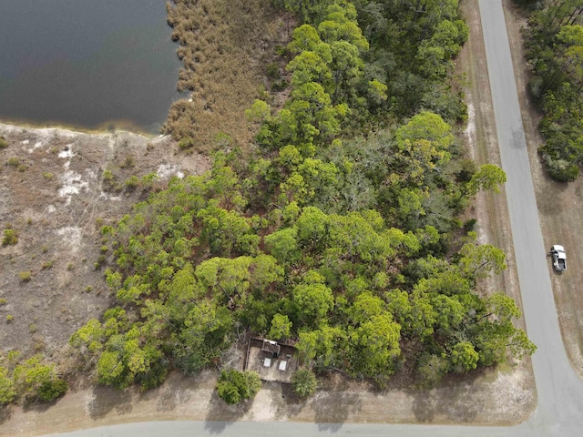 Listing photo 3 for Turtle Creek Ln, Panacea FL 32346