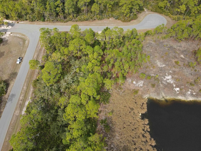 Listing photo 2 for Turtle Creek Ln, Panacea FL 32346