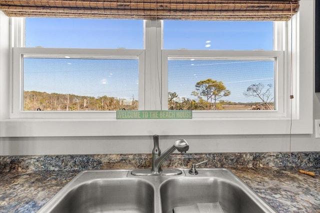 interior details featuring sink