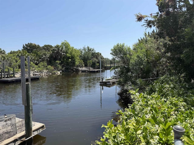 dock area with a water view