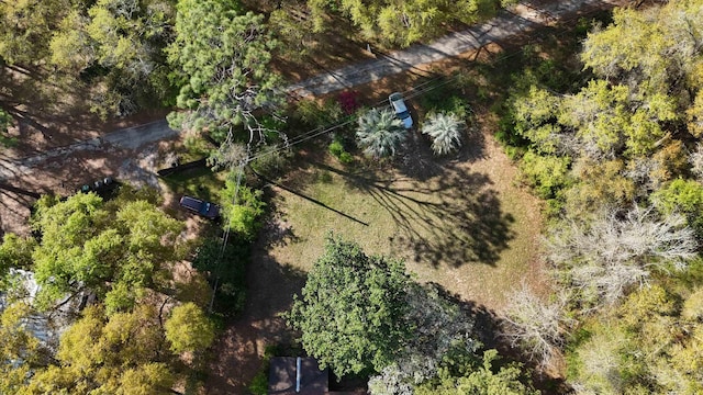 16872 Aqua Ln, Tallahassee, FL 32310 - bird's eye view with a wooded view