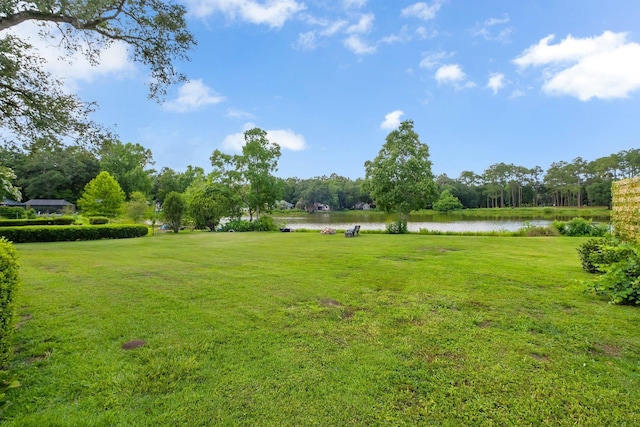 6509 Alan A Dale Trl, Tallahassee, FL 32309 - view of grassy yard featuring a water view