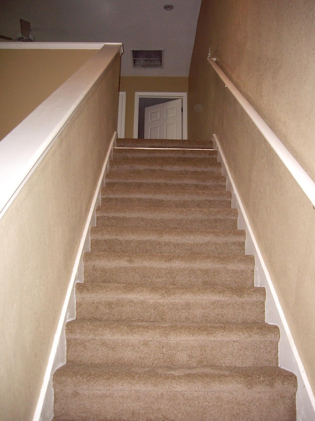 staircase with carpet flooring