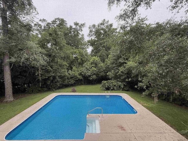 2992 Corrib Dr, Tallahassee, FL 32309 - photo 4