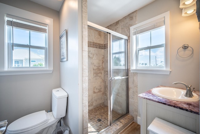 bathroom with an enclosed shower, vanity, and toilet