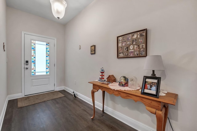 entrance foyer featuring dark wood-type flooring