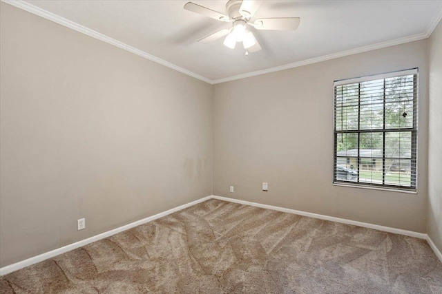 unfurnished room featuring ceiling fan, ornamental molding, and carpet flooring