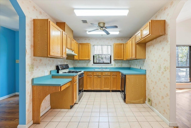 kitchen with sink, gas range, black dishwasher, and a healthy amount of sunlight