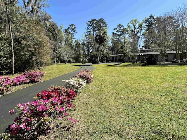 1826 Lakeshore Ln, Tallahassee, FL 32312 - photo 27
