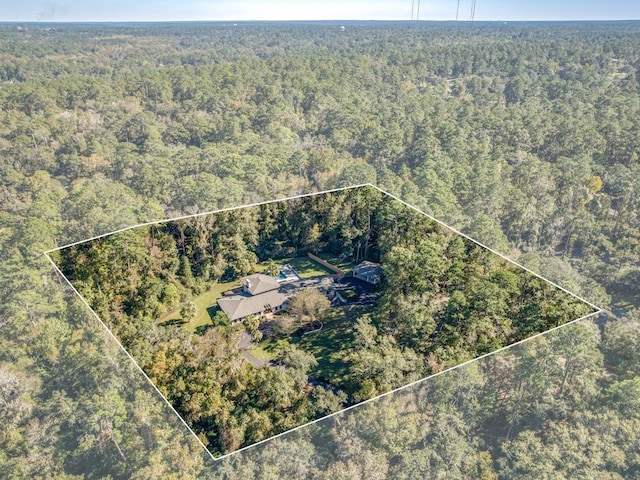 1826 Lakeshore Ln, Tallahassee, FL 32312 - photo 36