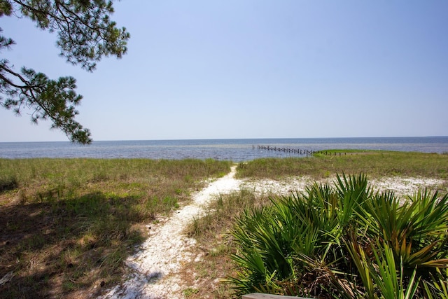 view of water feature