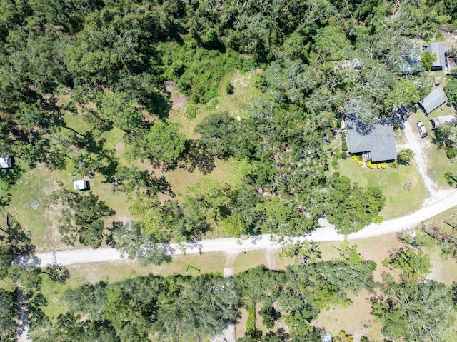 939 NW Banta Acres Rd, Mayo, FL 32066 - photo 42