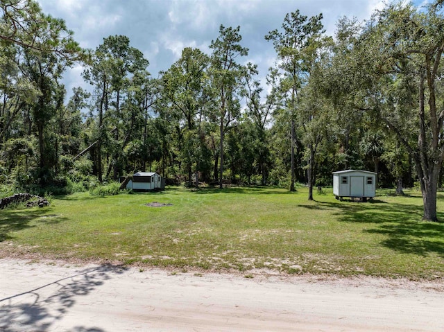 view of yard featuring a storage shed