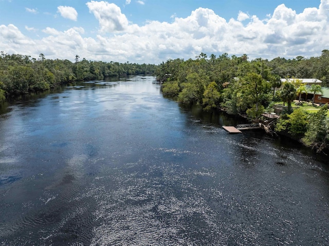939 NW Banta Acres Rd, Mayo, FL 32066 - photo 24
