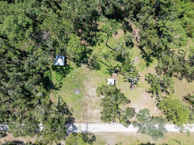939 NW Banta Acres Rd, Mayo, FL 32066 - photo 40