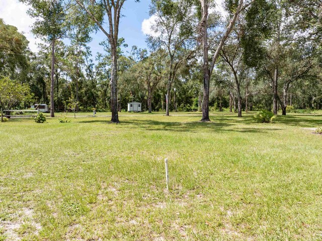 939 NW Banta Acres Rd, Mayo, FL 32066 - photo 35