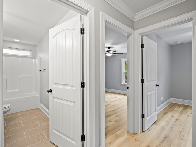 hallway with crown molding and light hardwood / wood-style floors