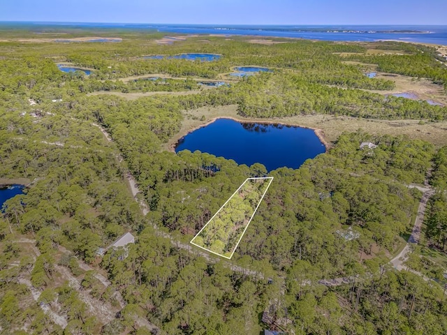 51 Lakeview Dr, Alligator Point FL, 32346 land for sale