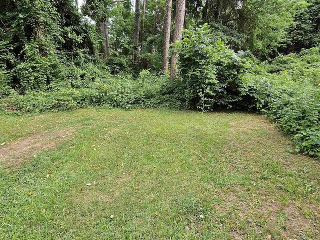 1325 Twin Peak Ln, Tallahassee, FL 32317 - photo 32