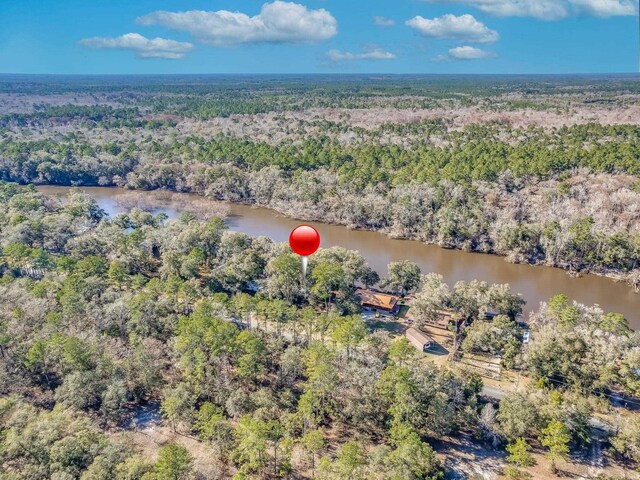 4866 Crooked Rd, Tallahassee, FL 32310 - photo 4