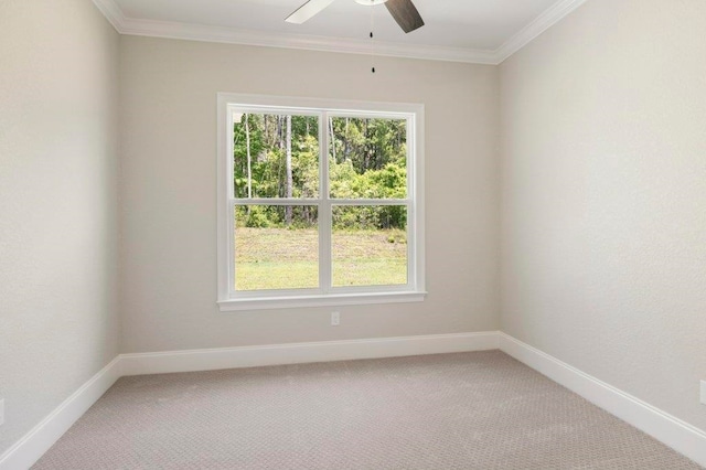 8451 Hickory Branch Trl, Tallahassee, FL 32312 - unfurnished room with light colored carpet, a ceiling fan, plenty of natural light, and ornamental molding