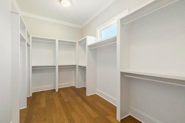 8451 Hickory Branch Trl, Tallahassee, FL 32312 - spacious closet with wood finished floors
