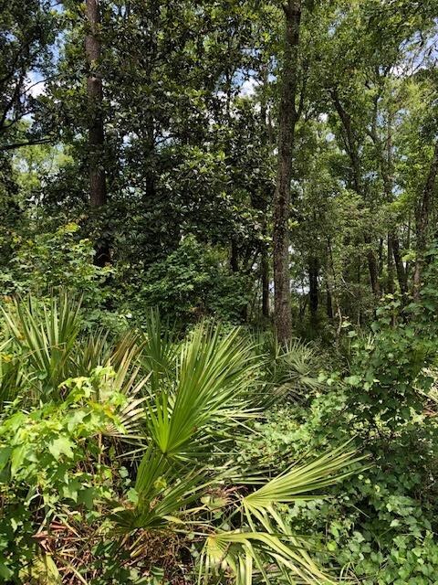 73 Hope Ln -, Unit Saint Marks, FL 32355