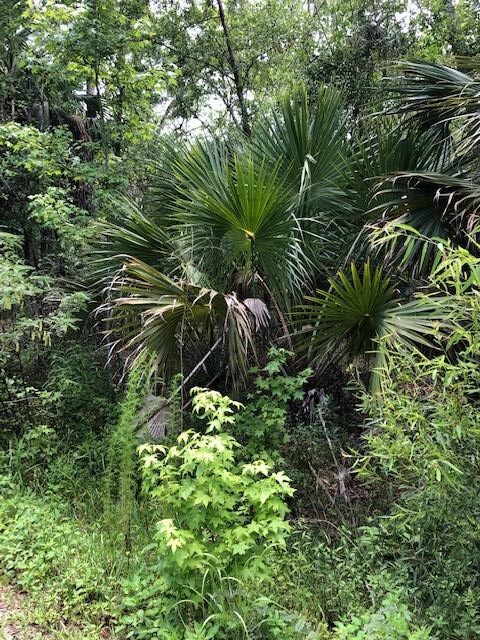 73 Hope Ln -, Unit Saint Marks, FL 32355
