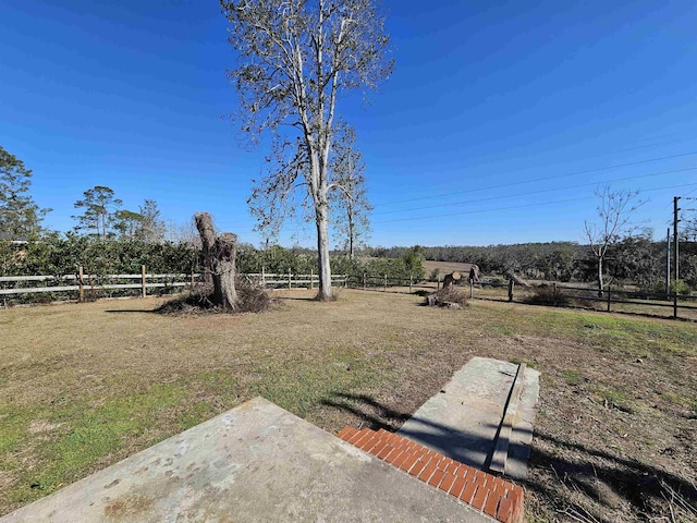 view of yard with a rural view