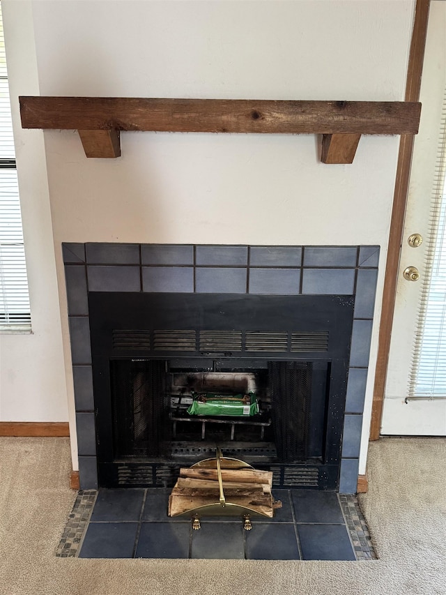 1108 Green Tree Ct Unit 1, Tallahassee, FL 32304 - detailed view of a fireplace and carpet