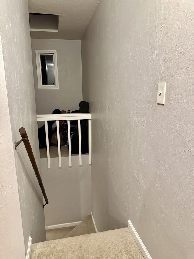 1838 Fernando Ln, Tallahassee, FL 32303 - stairway with carpet flooring and baseboards
