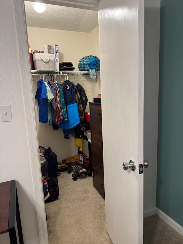 1838 Fernando Ln, Tallahassee, FL 32303 - spacious closet with carpet floors