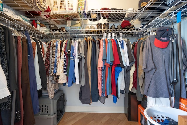 23380 Elmwood Ln, Live Oak, FL 32064 - walk in closet with wood finished floors