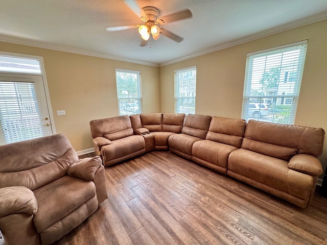 living room with hardwood / wood-style floors, ceiling fan, ornamental molding, and a wealth of natural light